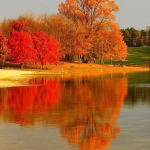 Meet your Posher, Hazel